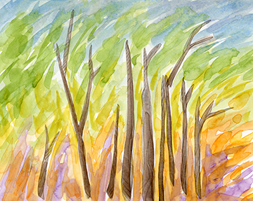 watercolor by Alexandria Levin